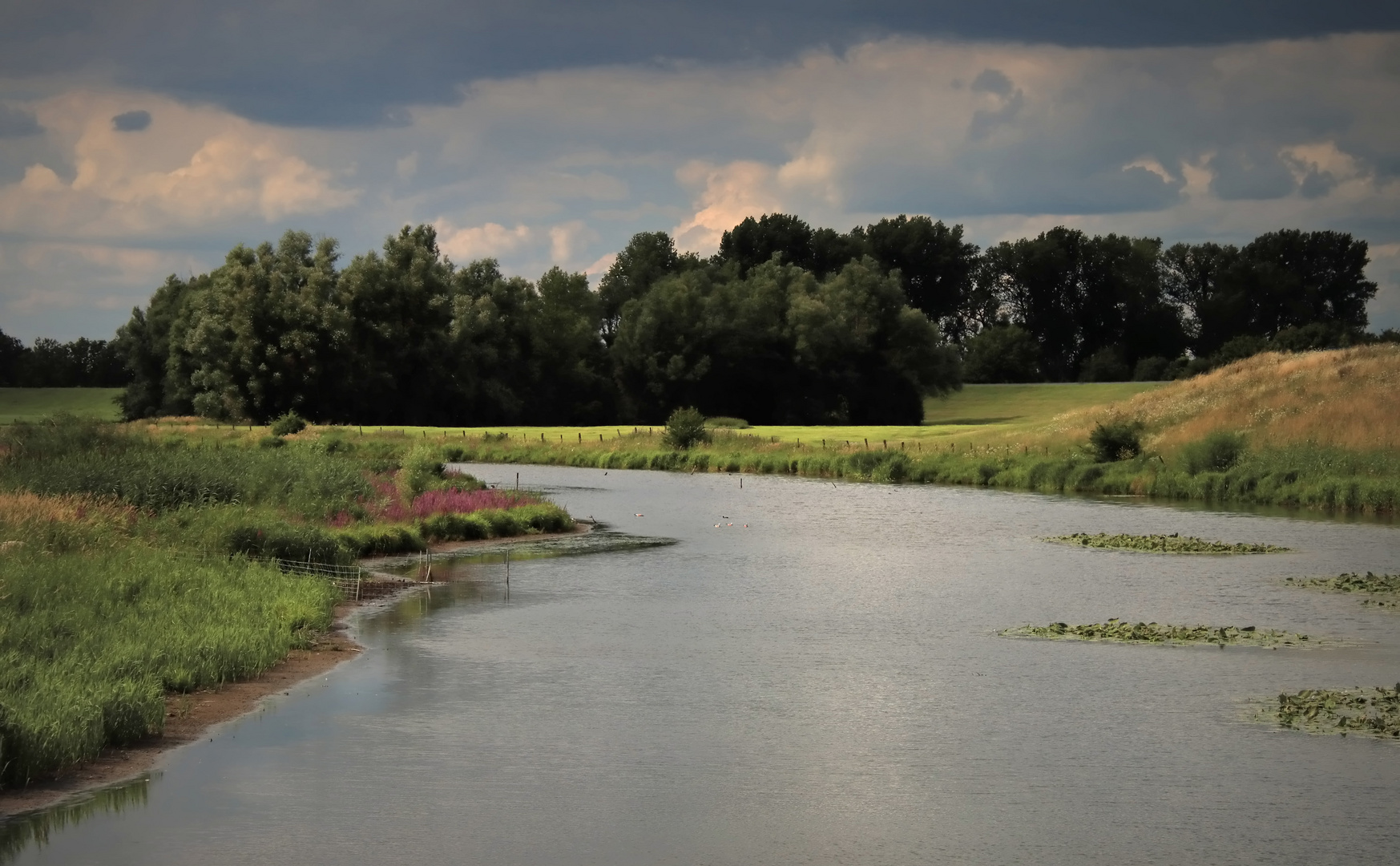 Landschaft am Niederrhein