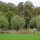 Landschaft am Niederrhein