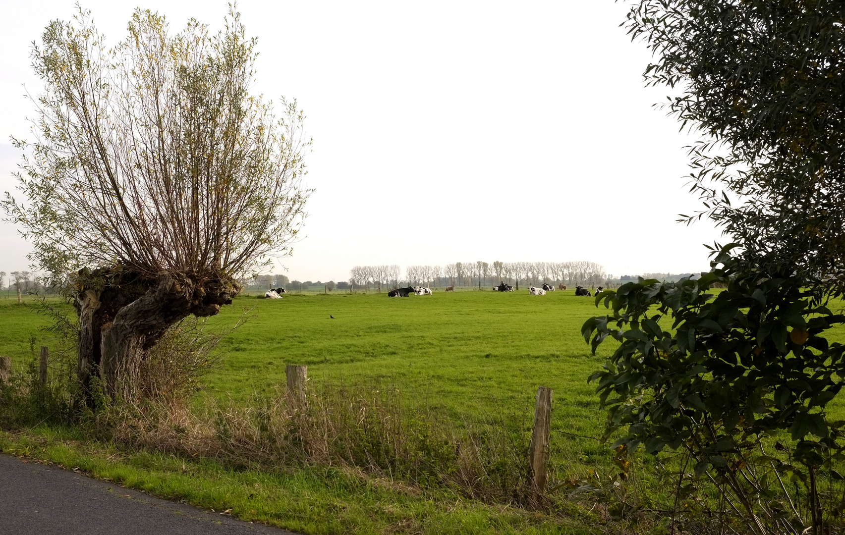 Landschaft am Niederrhein