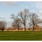 Landschaft am Niederrhein