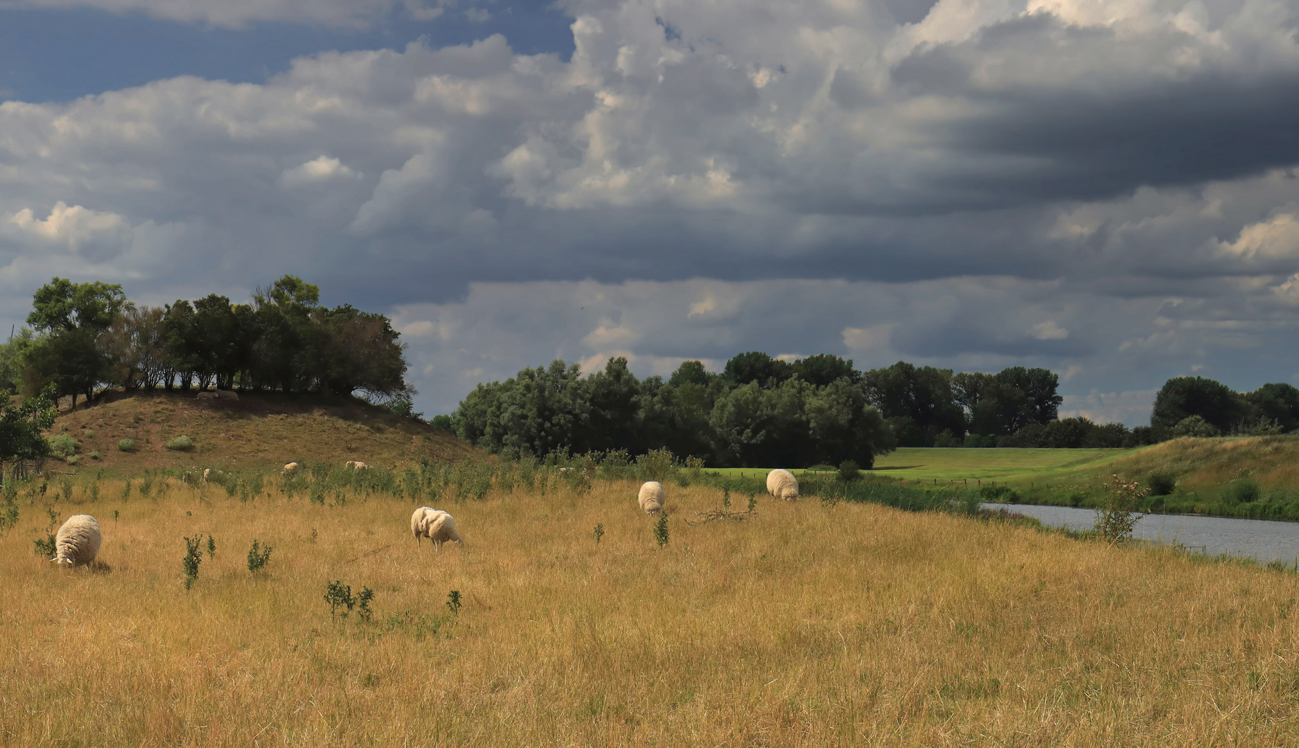 Landschaft am Niederrhein