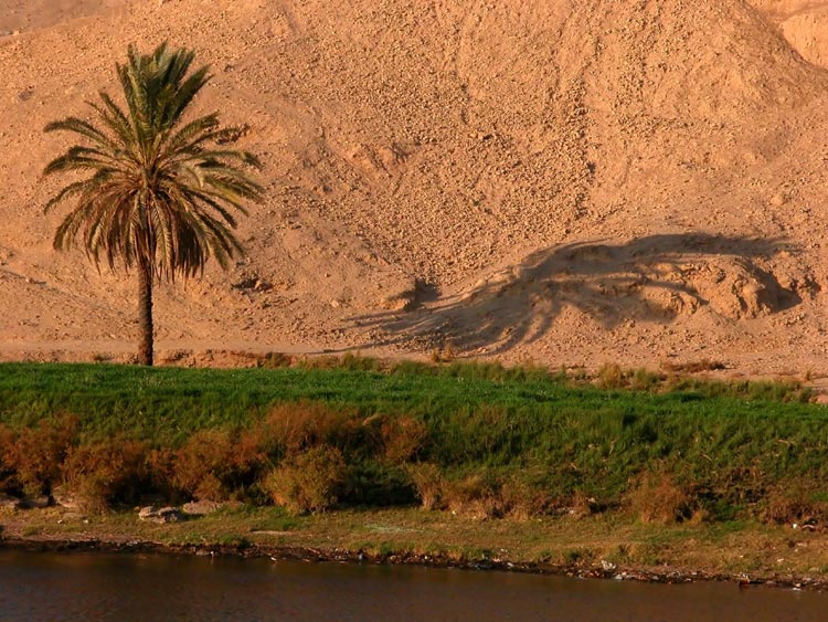 Landschaft Am Nil Agypten 19 Foto Bild Africa Egypt North Africa Bilder Auf Fotocommunity