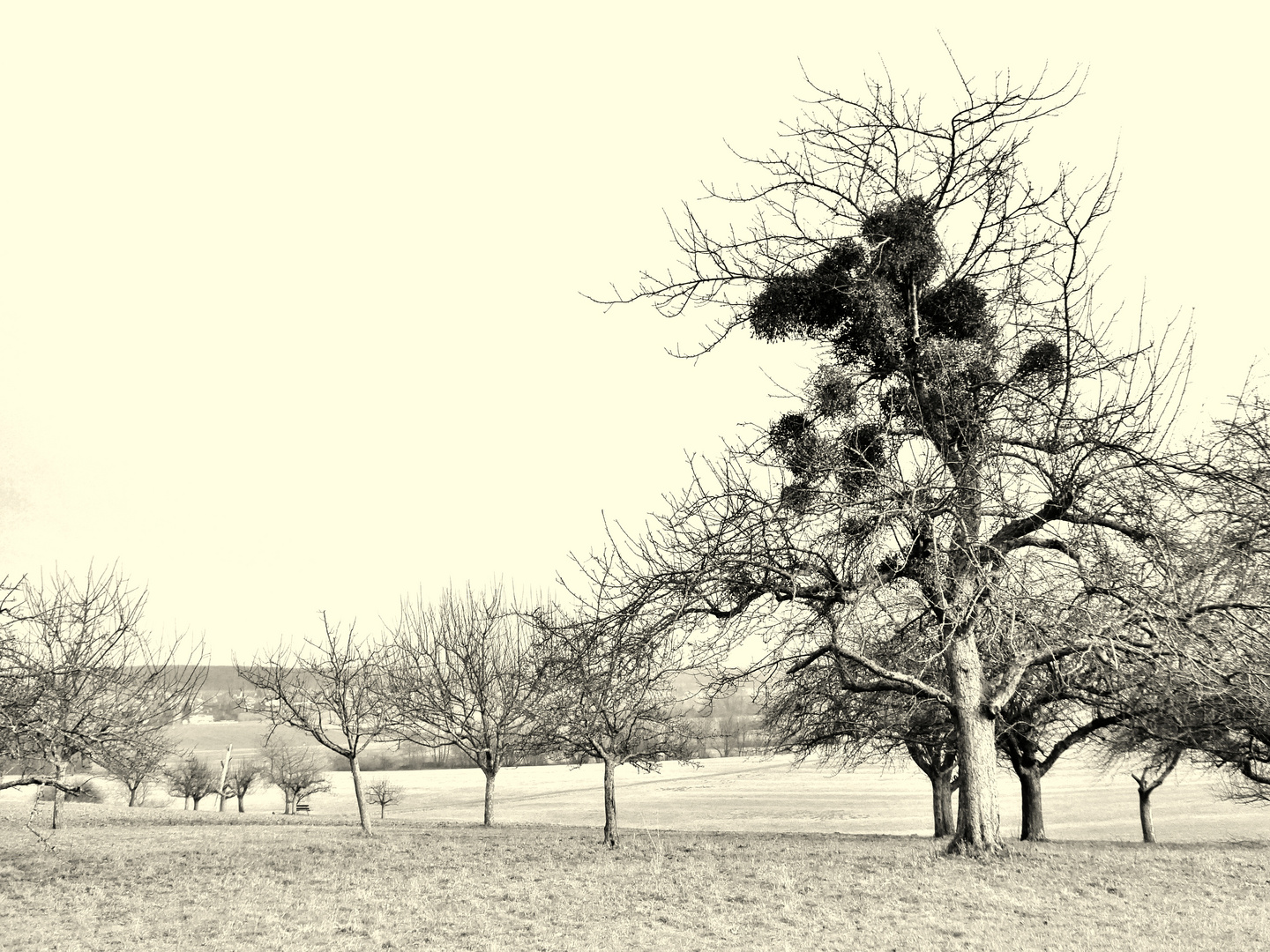 Landschaft am Ortsrand