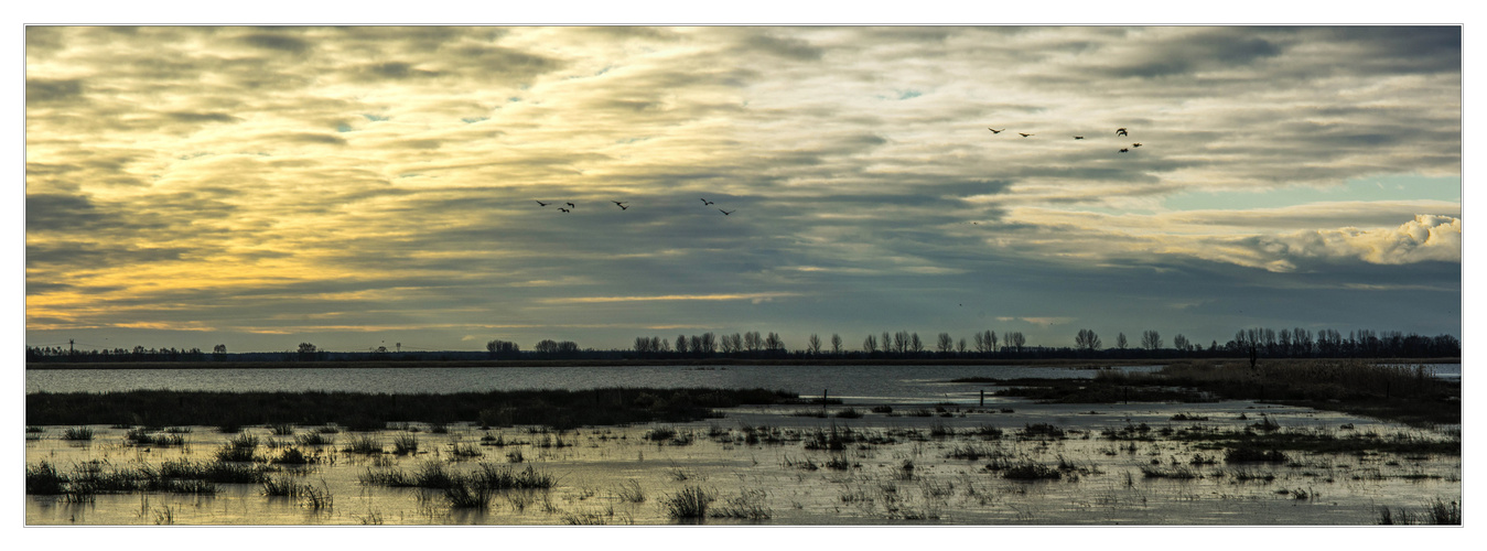 Landschaft am Peenestrom