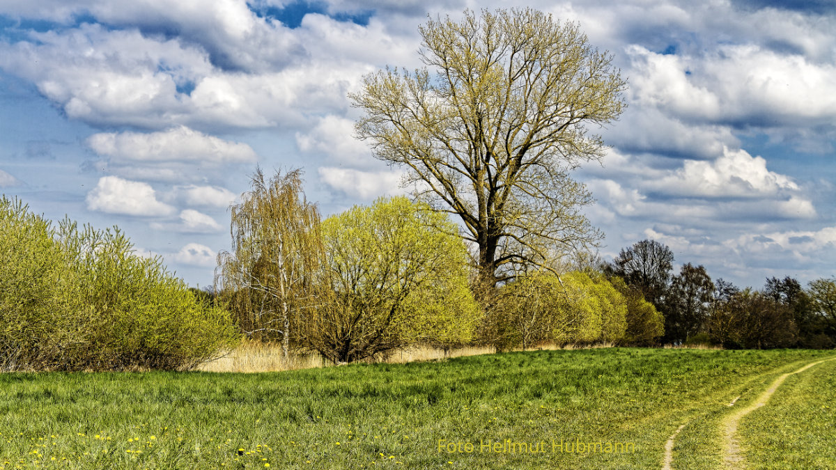 LANDSCHAFT AM RANDE EINER STADT IM FRÜHLING