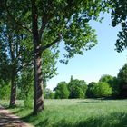 Landschaft am Rhein