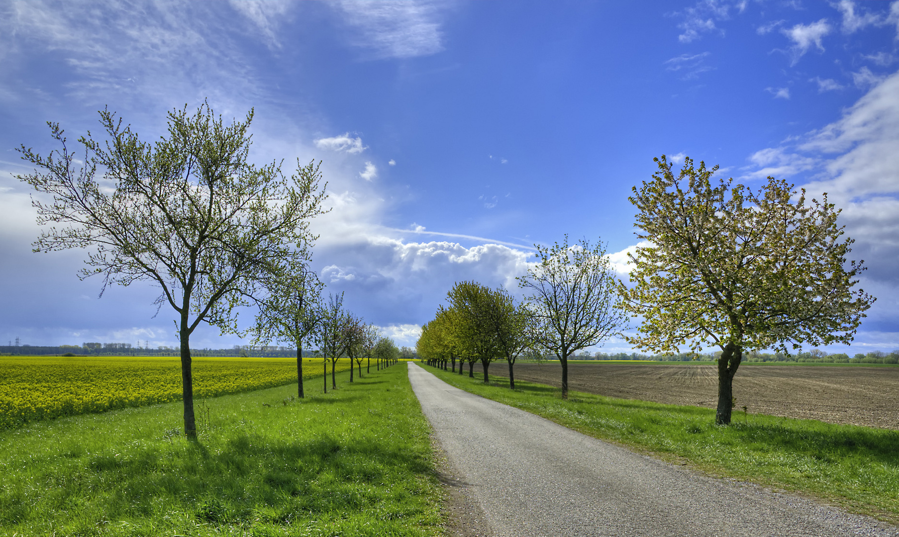 Landschaft am Rhein bei Speyer