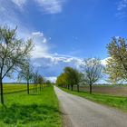 Landschaft am Rhein bei Speyer