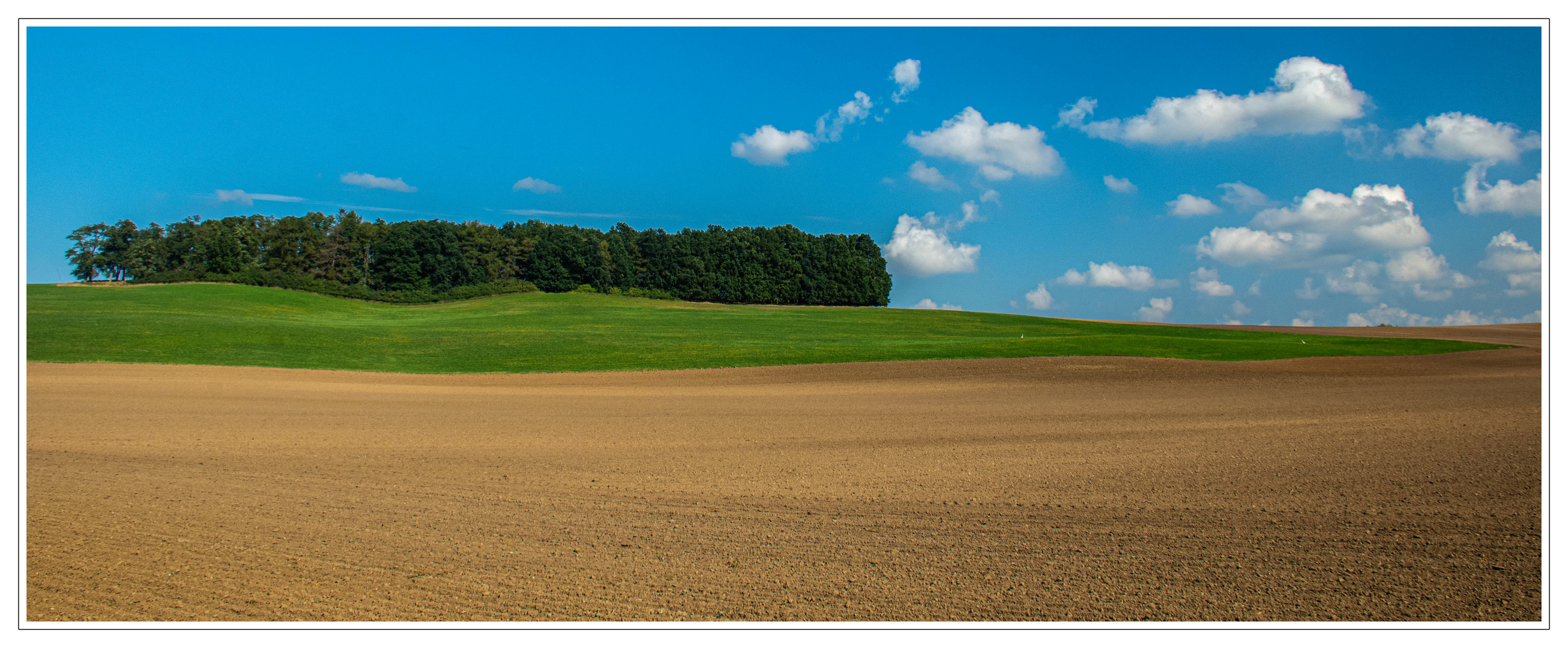 Landschaft am Schafsberg