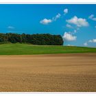 Landschaft am Schafsberg