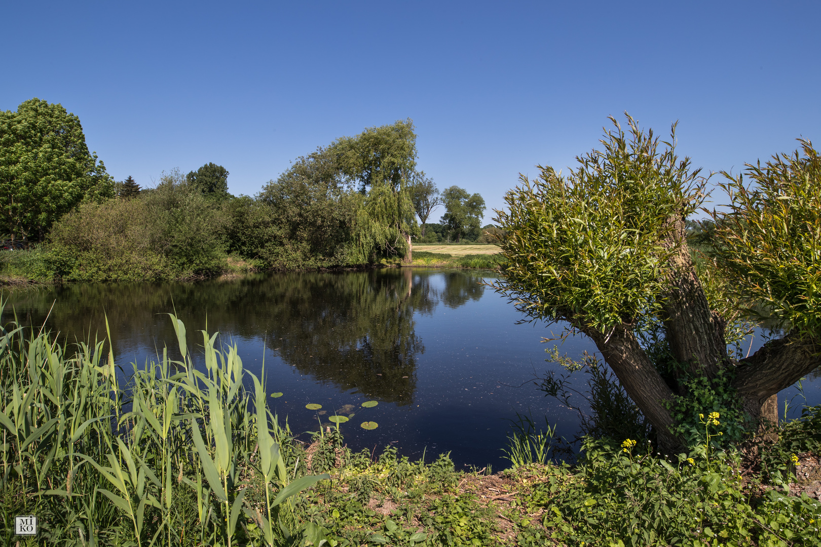 Landschaft am See