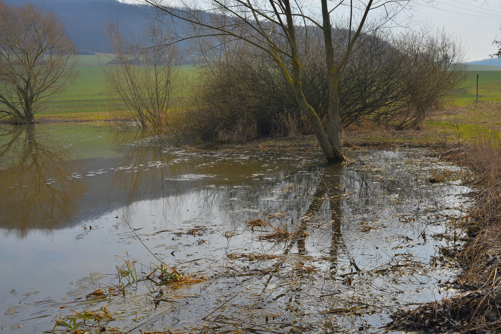 Landschaft am See, 2 (paisaje en el lago, 2)