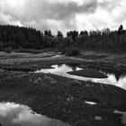 Landschaft am See