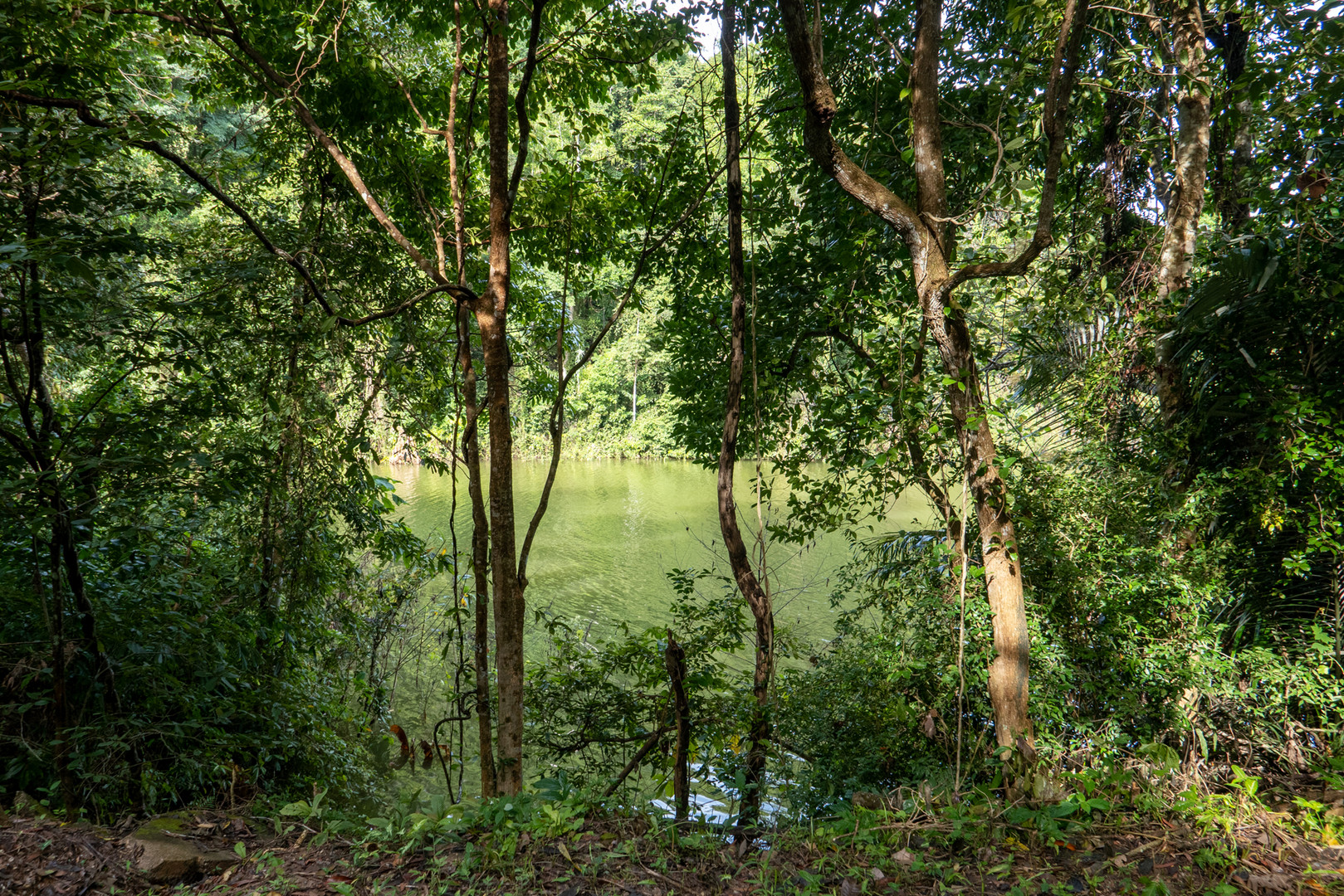 Landschaft am See