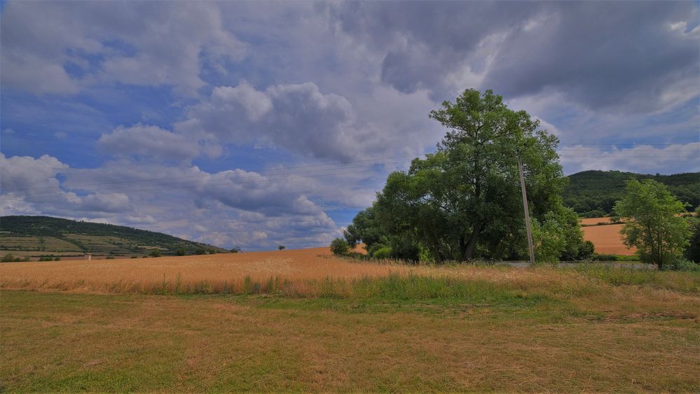 Landschaft am See (paisaje en el lago)