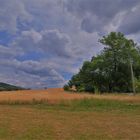 Landschaft am See (paisaje en el lago)