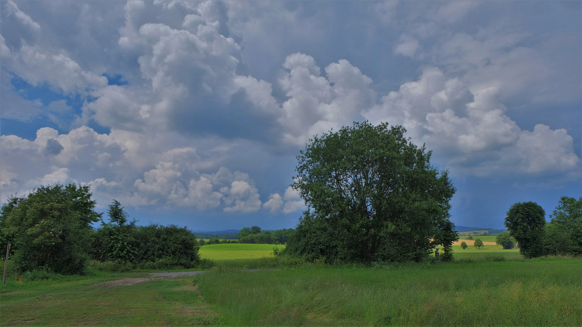 Landschaft am See (paisaje en el lago)