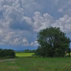 Landschaft am See (paisaje en el lago)