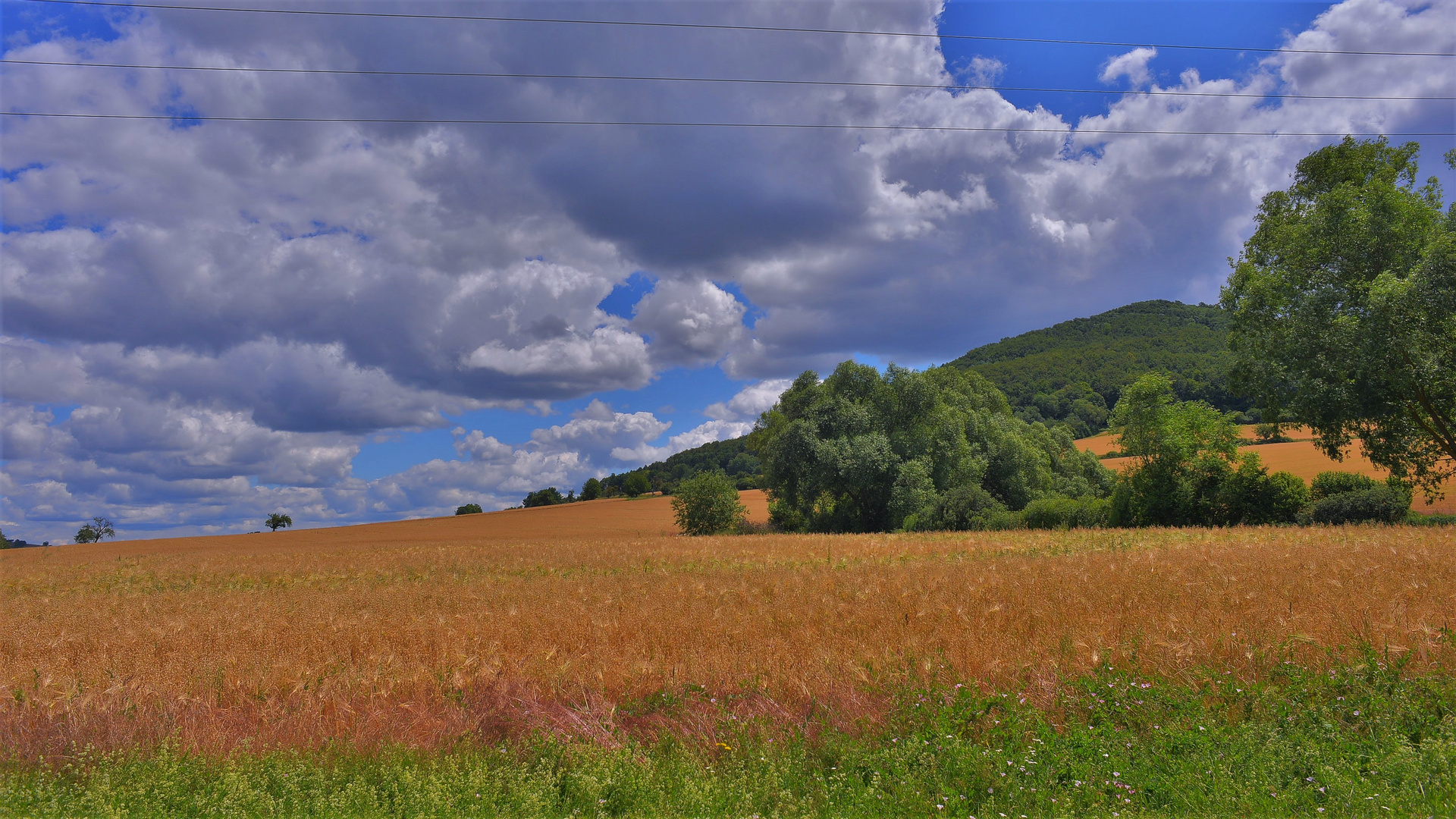 Landschaft am See (paisaje en el lago)