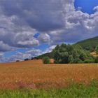 Landschaft am See (paisaje en el lago)