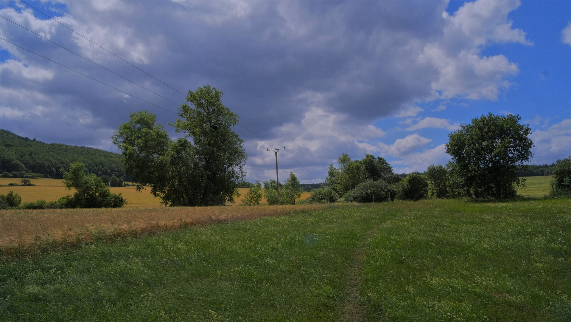 Landschaft am See (paisaje en el lago)