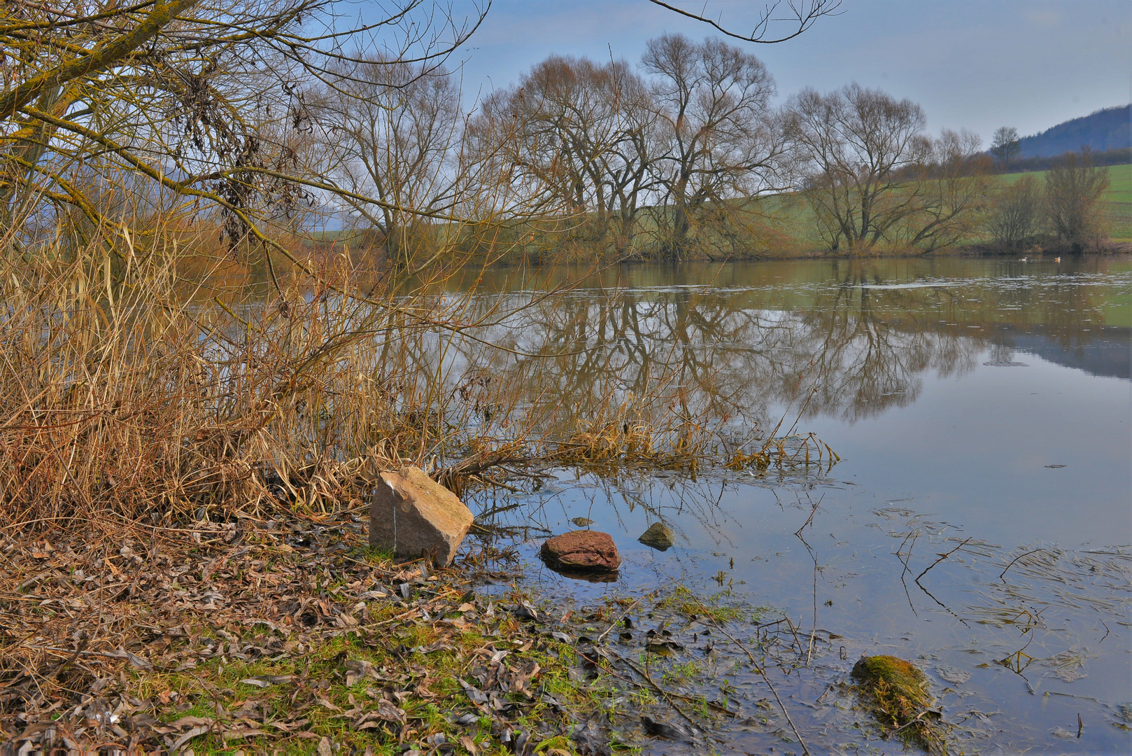 Landschaft am See (paisaje en el lago)