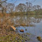 Landschaft am See (paisaje en el lago)