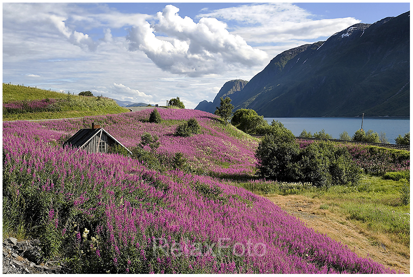 Landschaft am Sognefjord in Norwegen