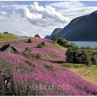 Landschaft am Sognefjord in Norwegen