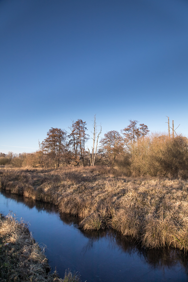 Landschaft am Steinhuder Meer