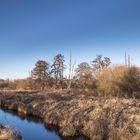 Landschaft am Steinhuder Meer