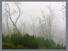 Landschaft am Stürmer