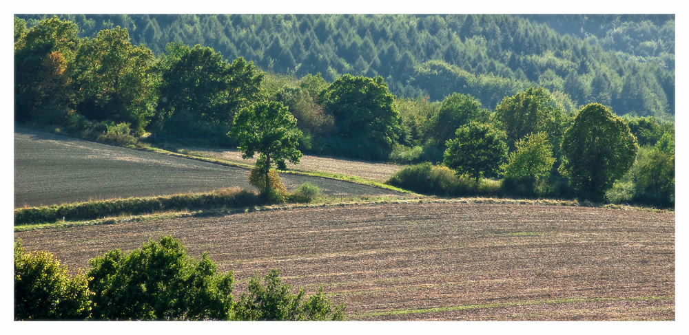 Landschaft am Teuto