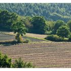 Landschaft am Teuto