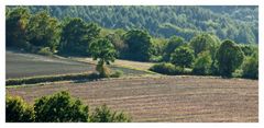 Landschaft am Teuto