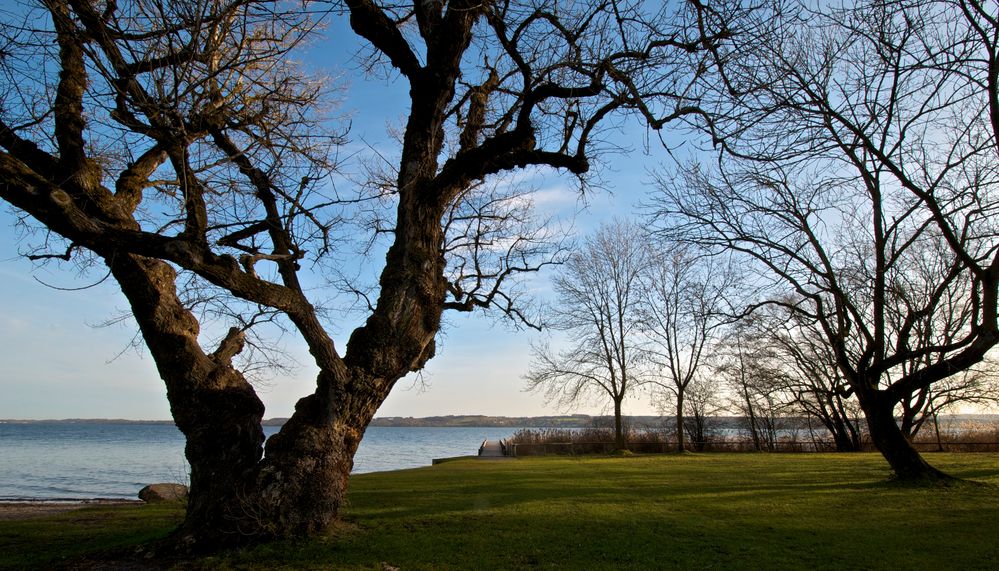 Landschaft am Ufer