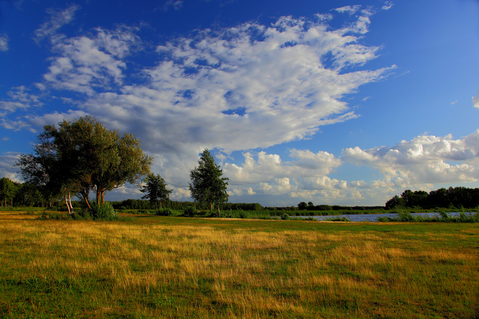 Landschaft am Veluwemeer