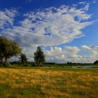 Landschaft am Veluwemeer