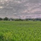 Landschaft an den Wassertürmen