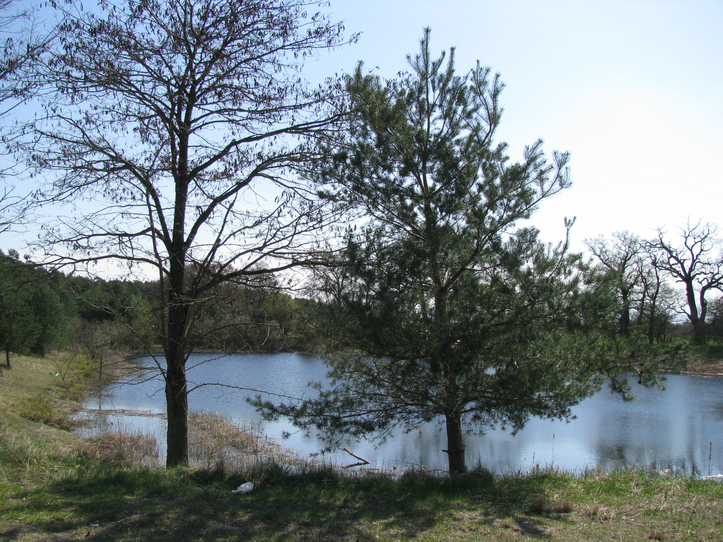 Landschaft an der B 195 bei Löcknitz