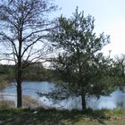 Landschaft an der B 195 bei Löcknitz