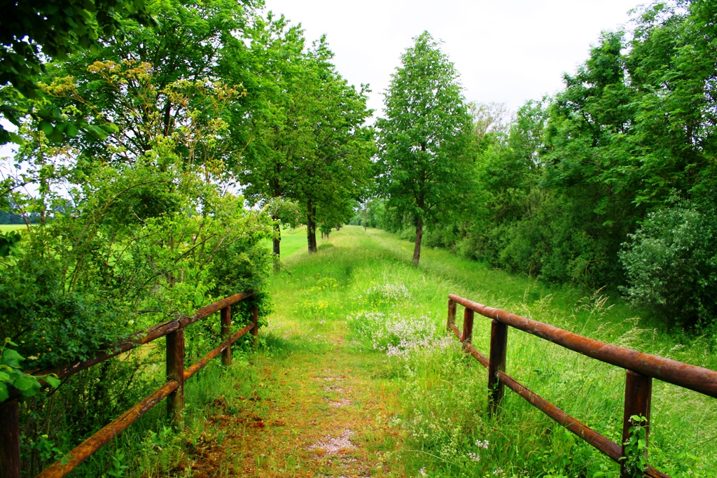 Landschaft an der Donau