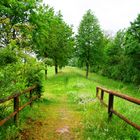 Landschaft an der Donau