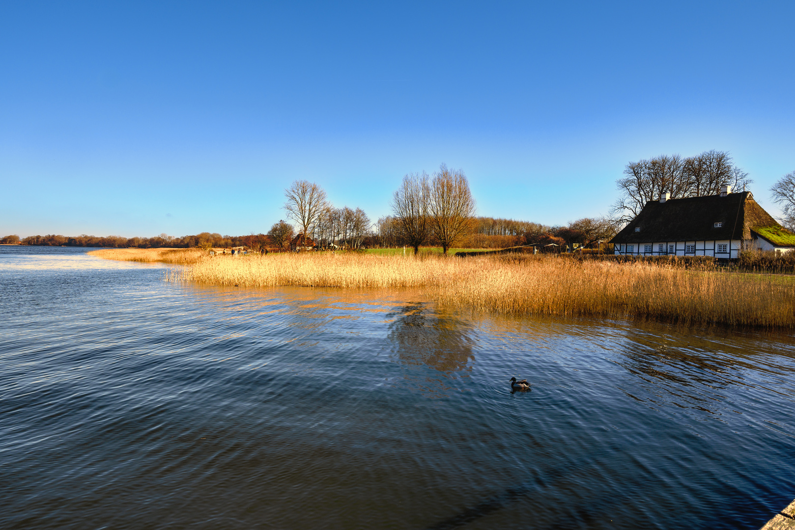 Landschaft an der Schlei