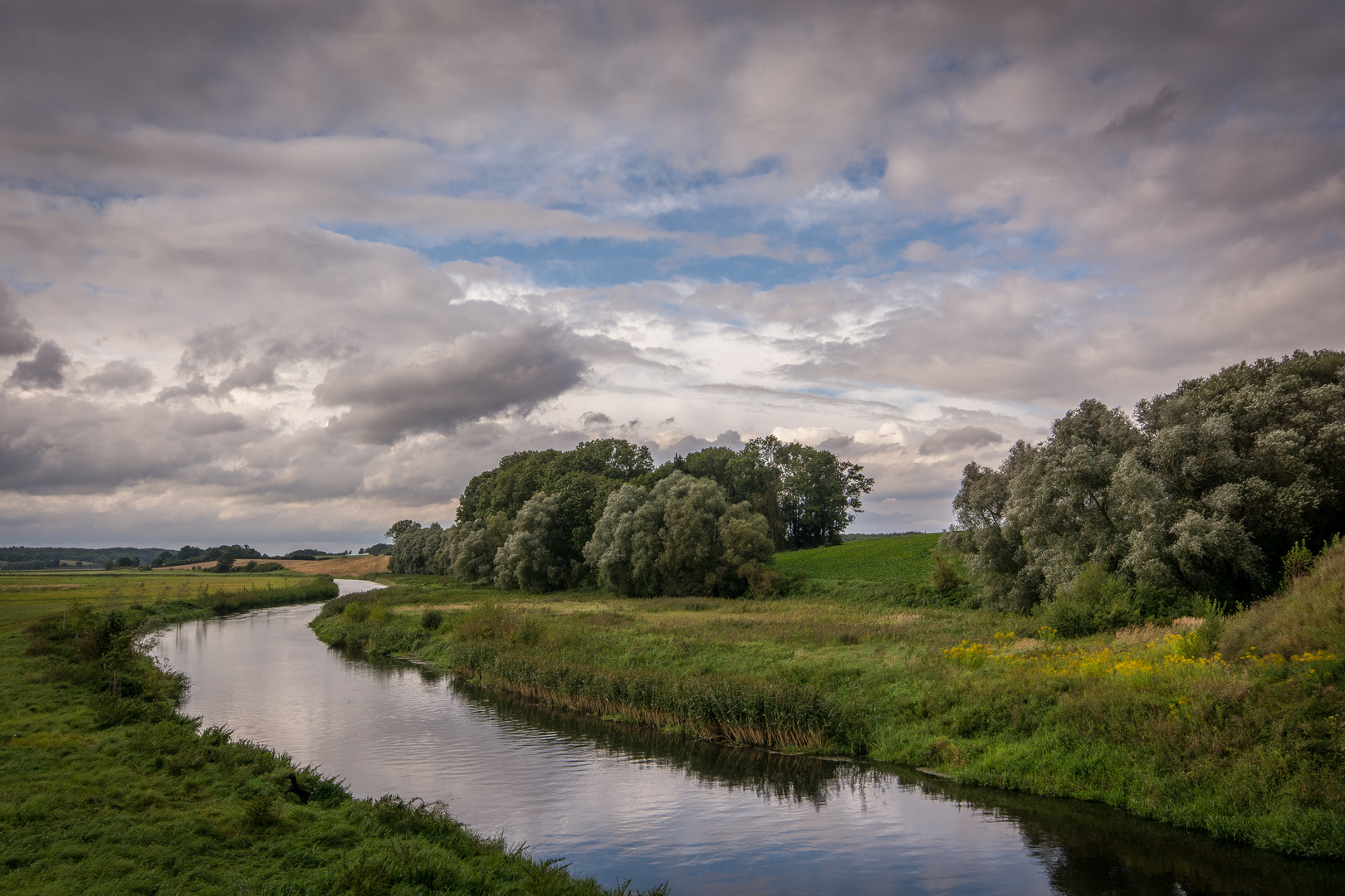 Landschaft an der Tollense-4156