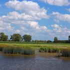 Landschaft an der Wischhafener Süderelbe (Norddeutschland)