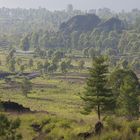 Landschaft auf Bali