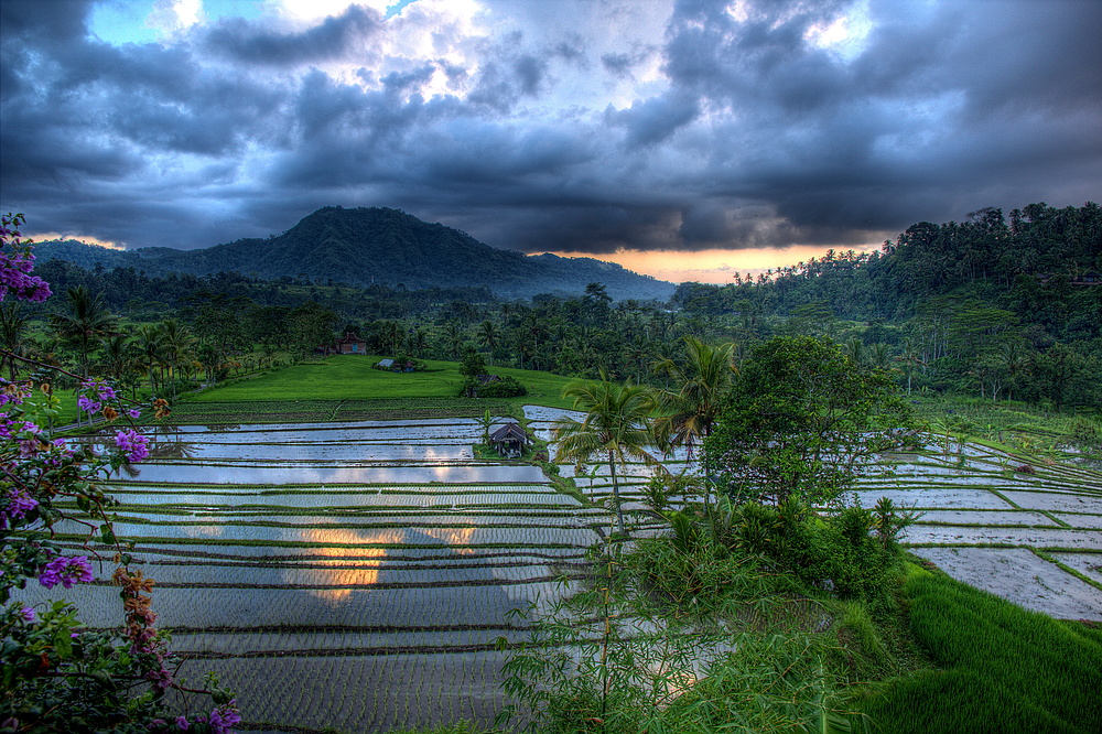 Landschaft auf Bali