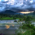 Landschaft auf Bali