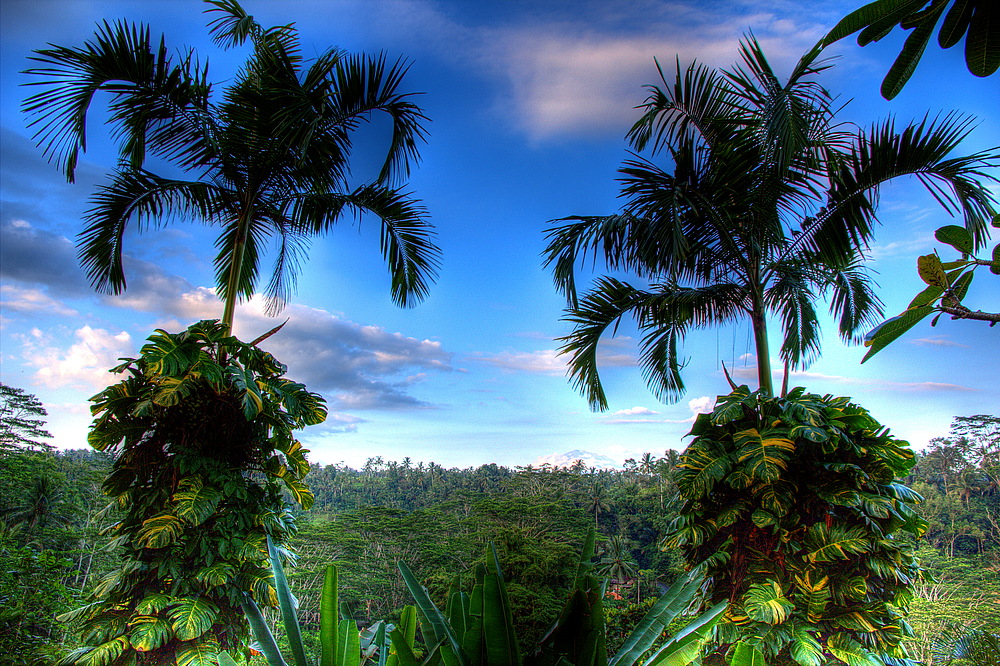 Landschaft auf Bali